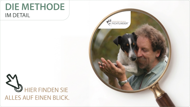 Fichtelmeier