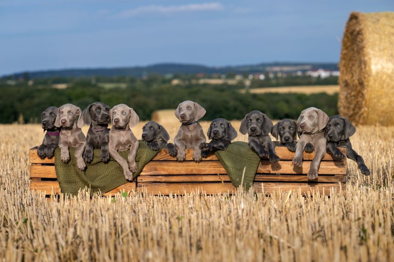 Gruppenbild